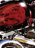 Red Sportster